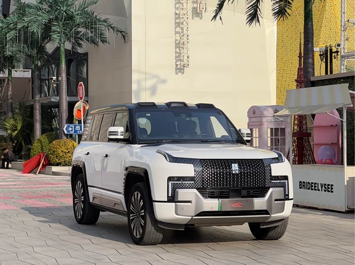 Фото 3 - BYD Yangwang U8