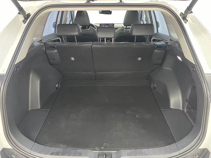 Фото 6 - Toyota Wildlander