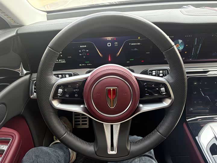 Фото 8 - Hongqi E-HS9