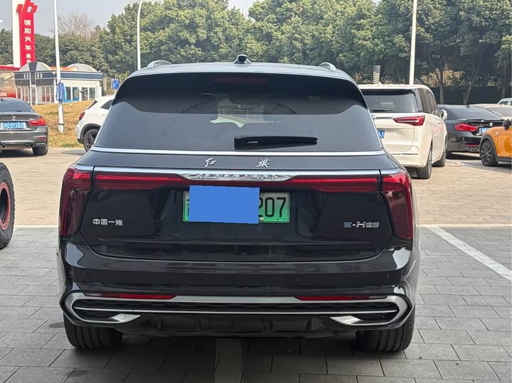 Фото 9 - Hongqi E-HS9