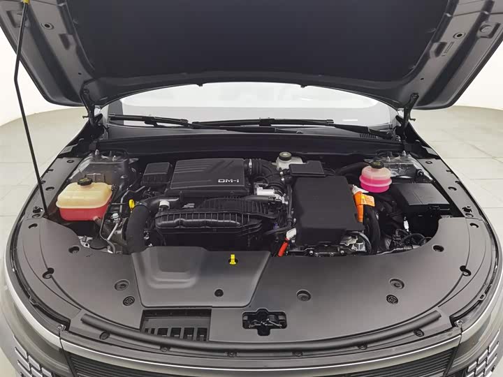 Фото 6 - BYD Destroyer 05