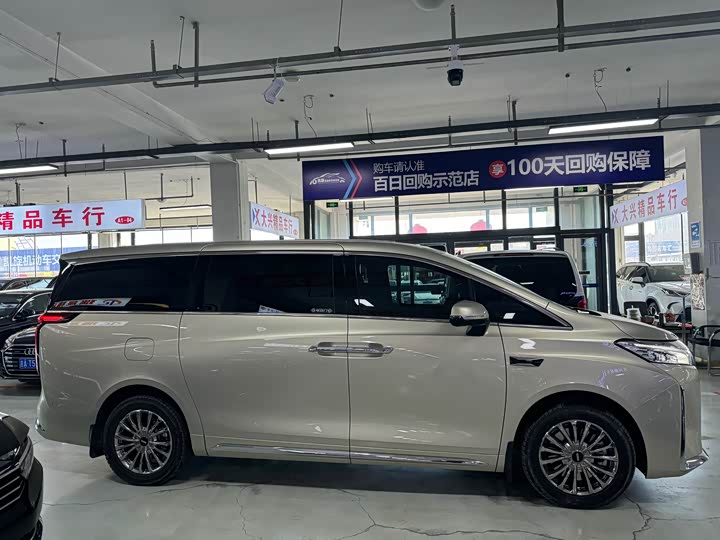 Фото 4 - Wey Gaoshan