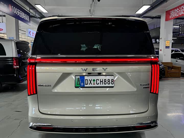 Фото 5 - Wey Gaoshan