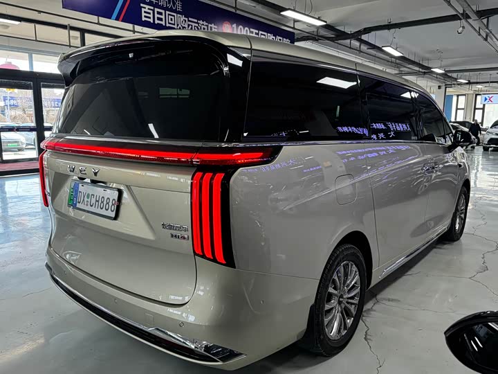 Фото 7 - Wey Gaoshan