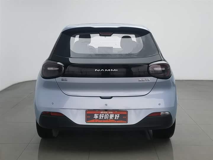 Фото 4 - Dongfeng Nammi 01