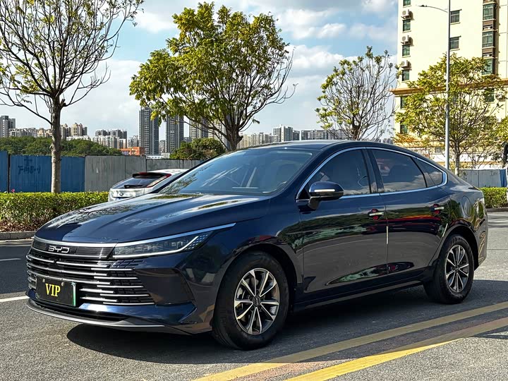 Фото 1 - BYD Destroyer 05