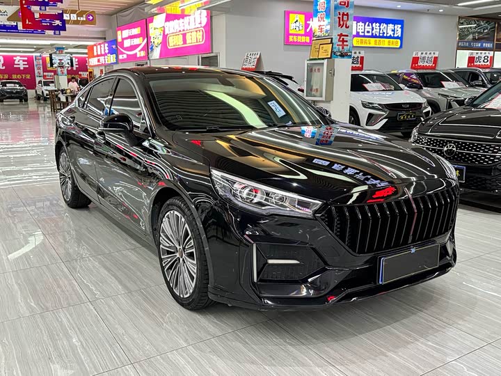 Фото 3 - Hongqi H5