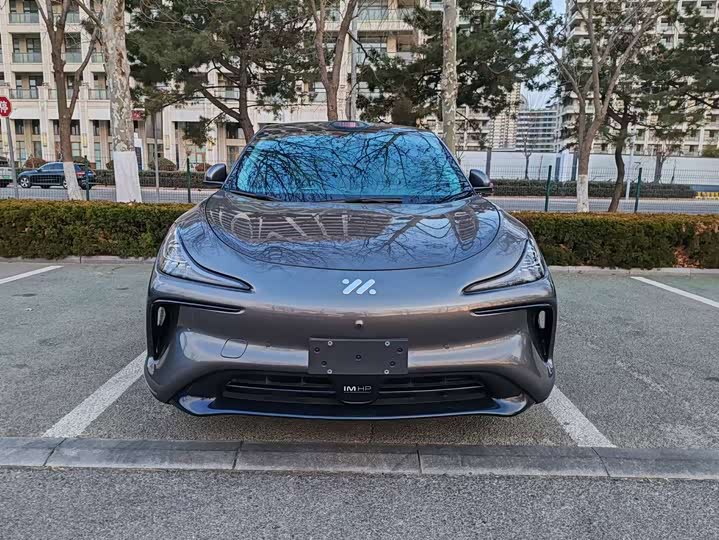 Фото 2 - IM motors LS6