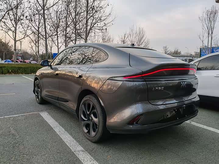 Фото 8 - IM motors LS6