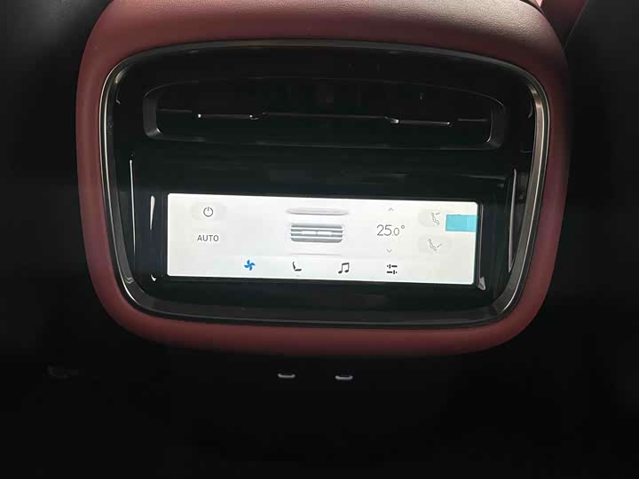 Фото 8 - Exeed Sterra ES