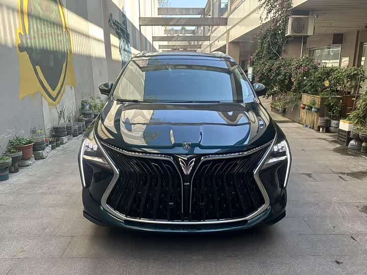 Photo 2 - Dongfeng Forthing Yacht