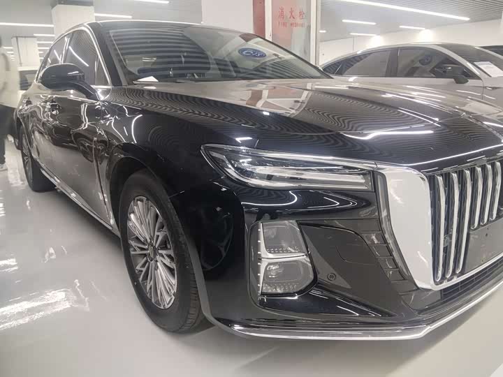 Фото 3 - Hongqi H5