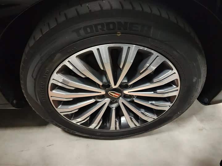 Фото 6 - Hongqi H7