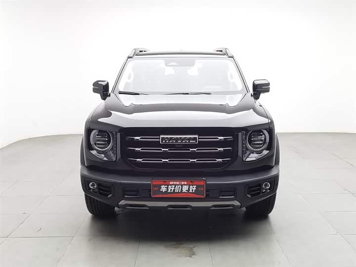 Фото 3 - Haval Dargo