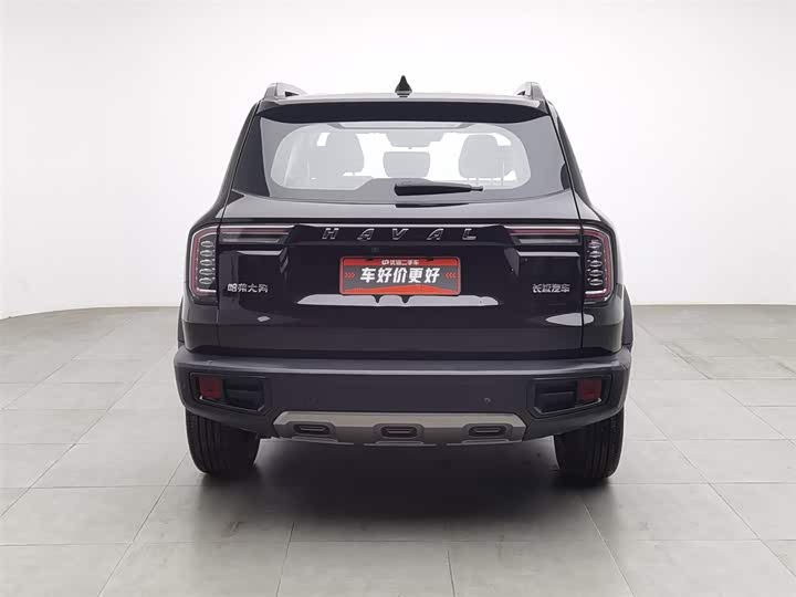 Фото 4 - Haval Dargo