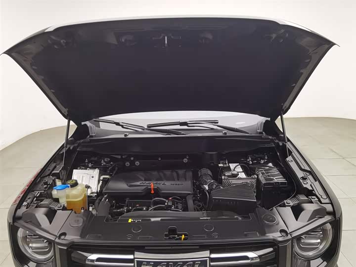 Фото 6 - Haval Dargo