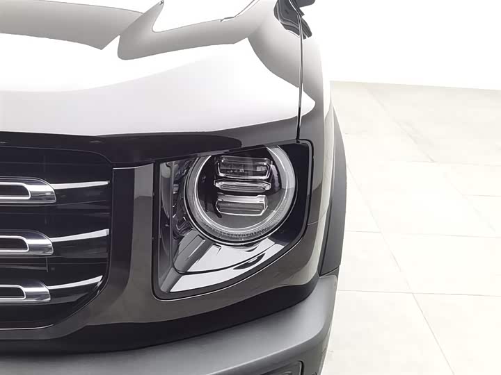 Фото 7 - Haval Dargo