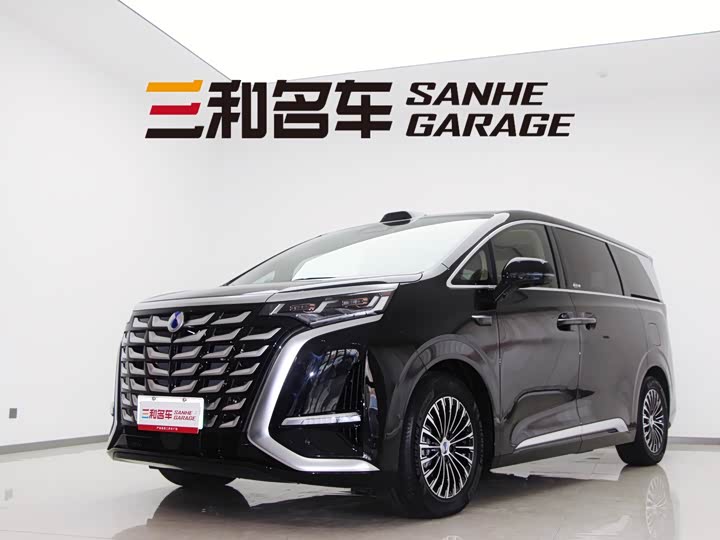 Фото 1 - Denza D9