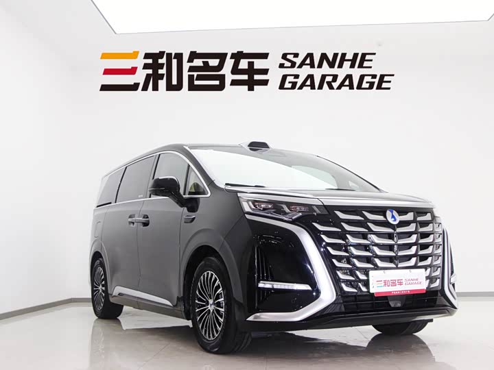 Фото 2 - Denza D9