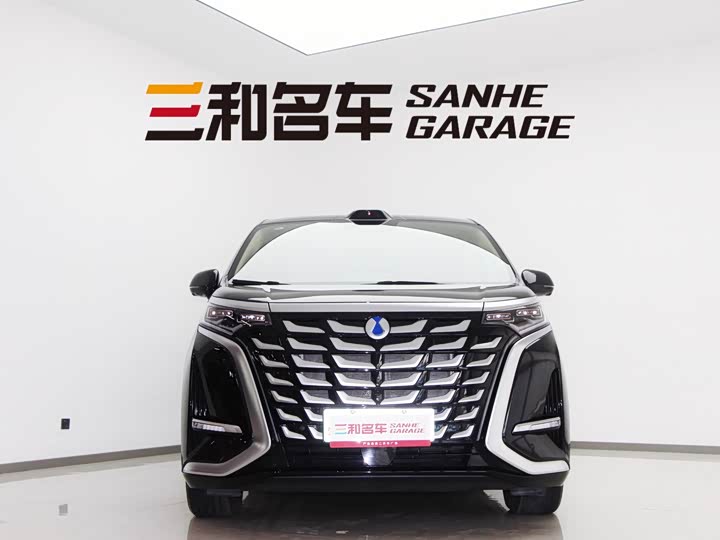 Фото 3 - Denza D9