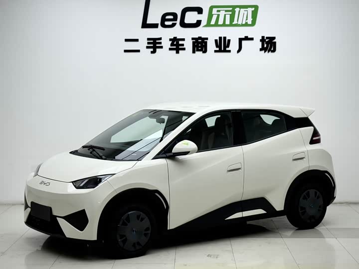 Фото 1 - BYD Seagull