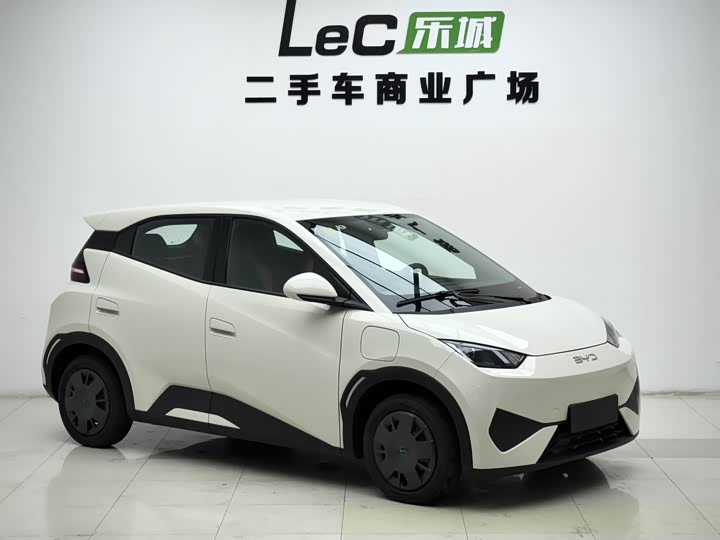 Фото 3 - BYD Seagull