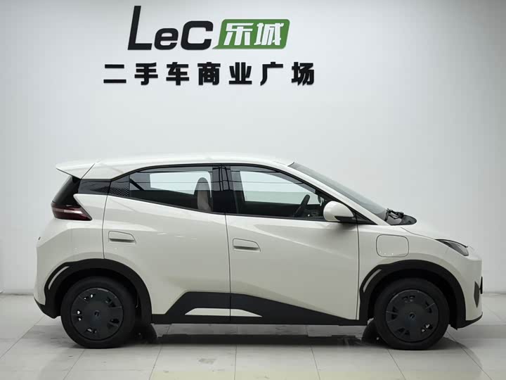 Фото 4 - BYD Seagull