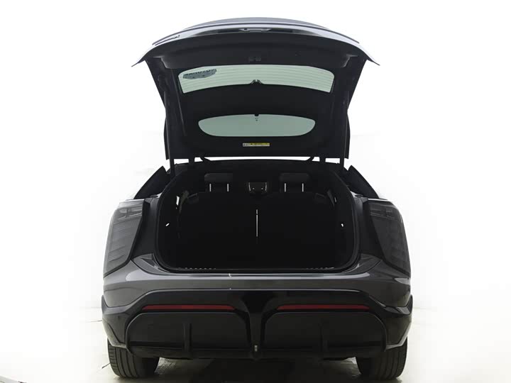 Фото 4 - HiPhi X