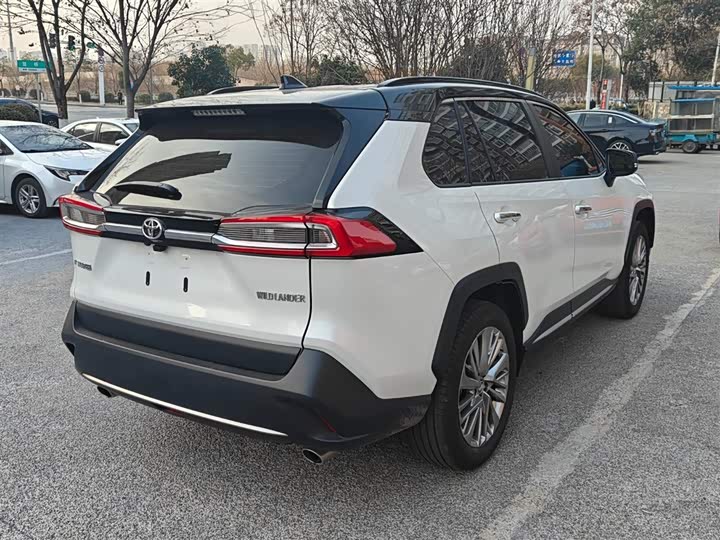 Фото 6 - Toyota Wildlander