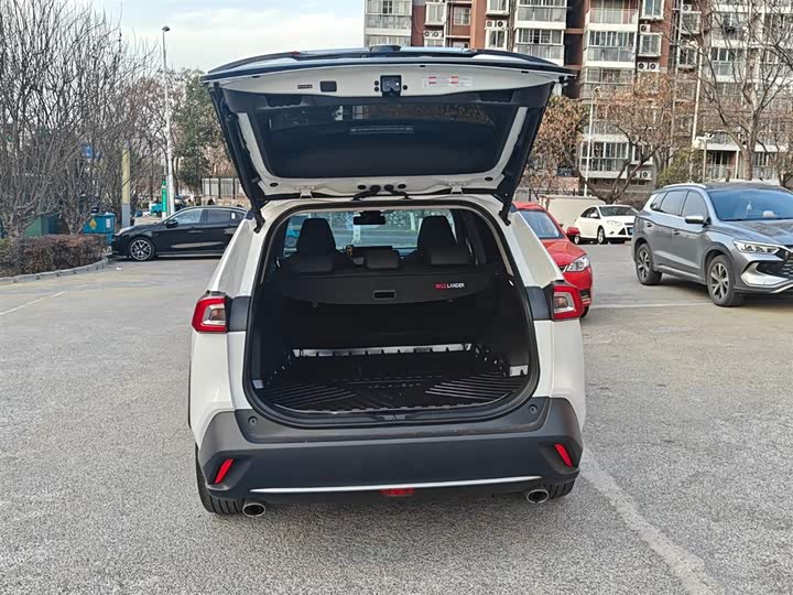 Фото 8 - Toyota Wildlander