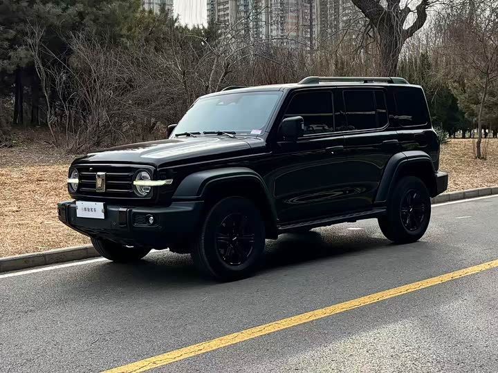 Фото 1 - Tank 300