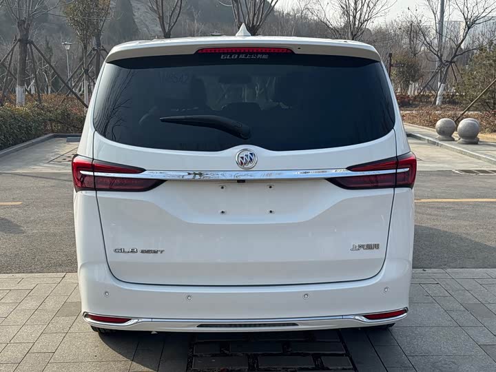 Фото 5 - Buick GL8 ES