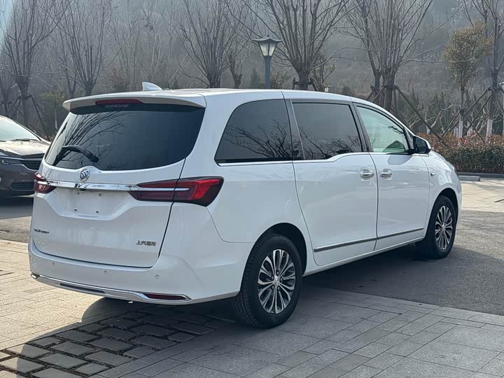 Фото 6 - Buick GL8 ES