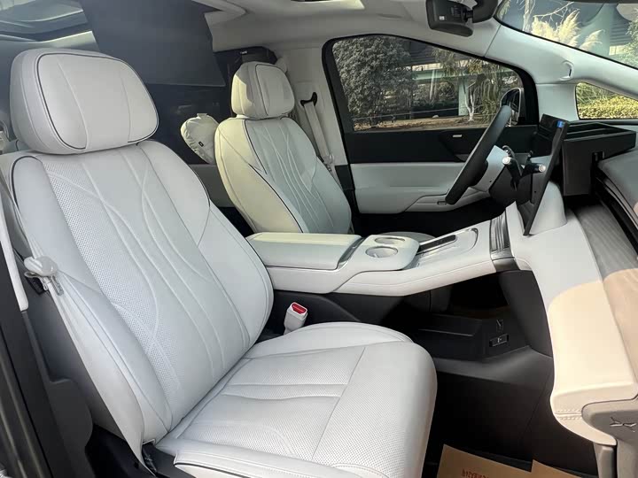 Фото 9 - XPeng X9