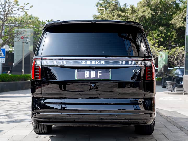 Фото 5 - Zeekr 009