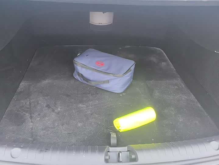 Фото 4 - BYD Han