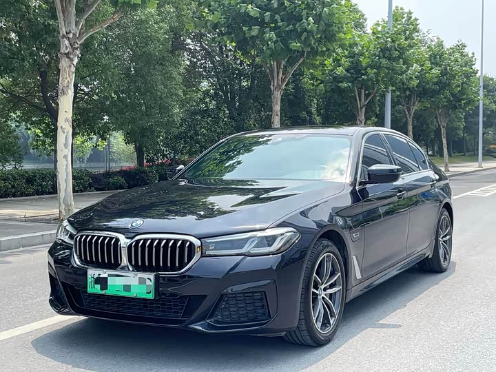 Фото 1 - BMW 5 Series Hybrid