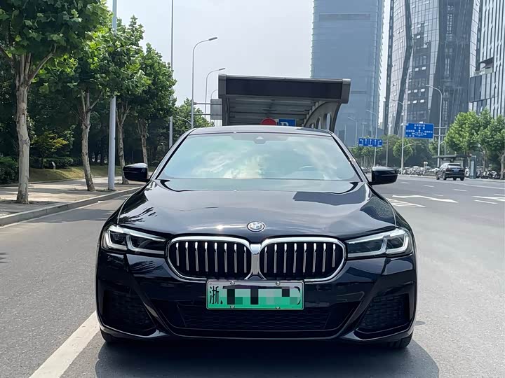 Фото 2 - BMW 5 Series Hybrid