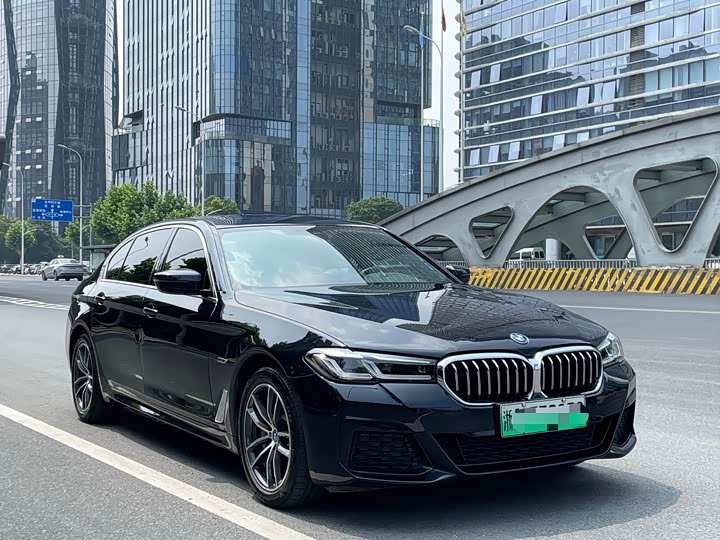 Фото 3 - BMW 5 Series Hybrid