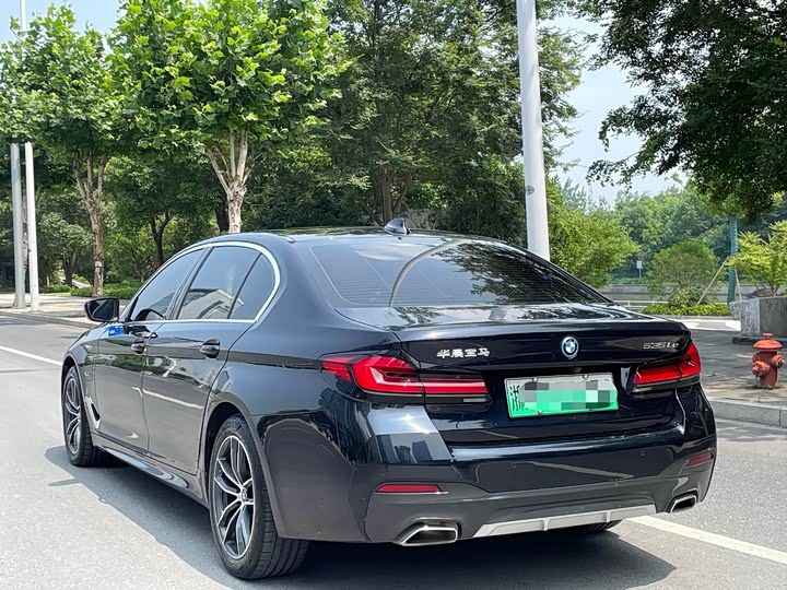 Фото 4 - BMW 5 Series Hybrid