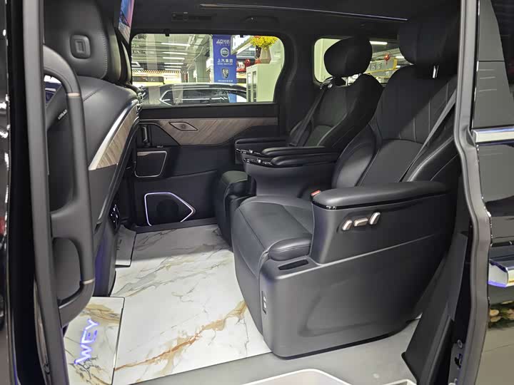 Фото 6 - Wey Gaoshan