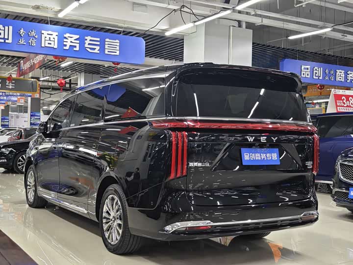 Фото 7 - Wey Gaoshan