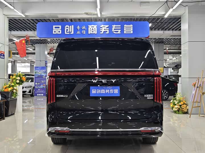 Фото 8 - Wey Gaoshan