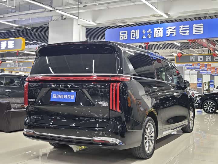 Фото 9 - Wey Gaoshan