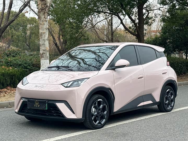 Фото 1 - BYD Seagull