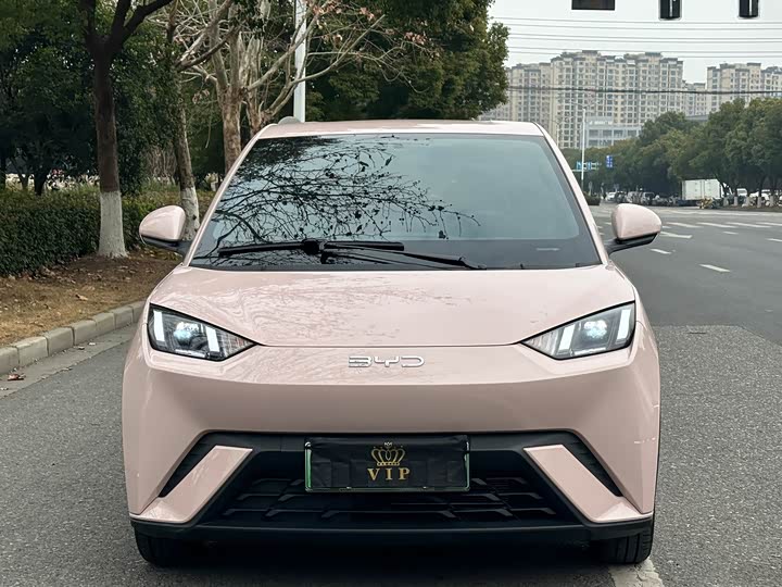 Фото 2 - BYD Seagull