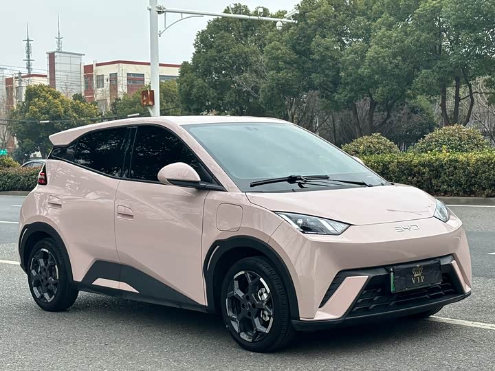 Фото 3 - BYD Seagull