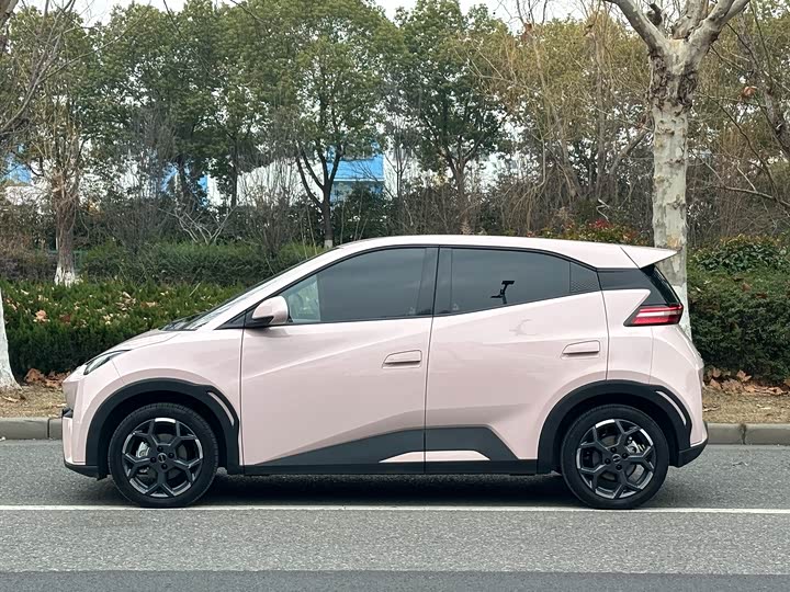 Фото 4 - BYD Seagull