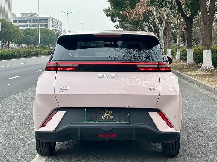 Фото 5 - BYD Seagull