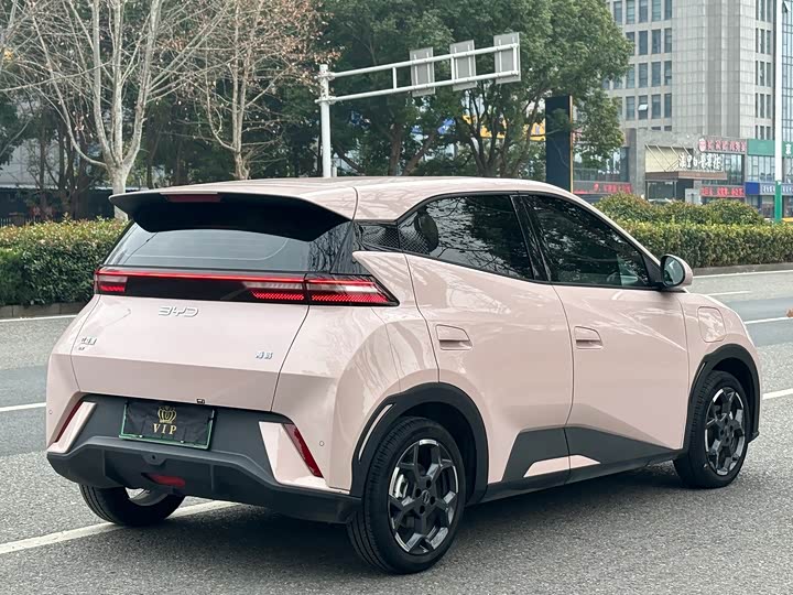 Фото 6 - BYD Seagull